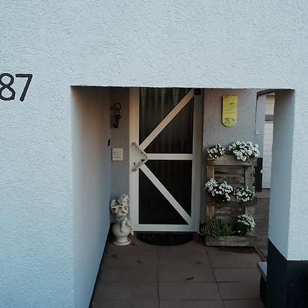 פירמאסנס Ferienwohnung Mau מראה חיצוני תמונה